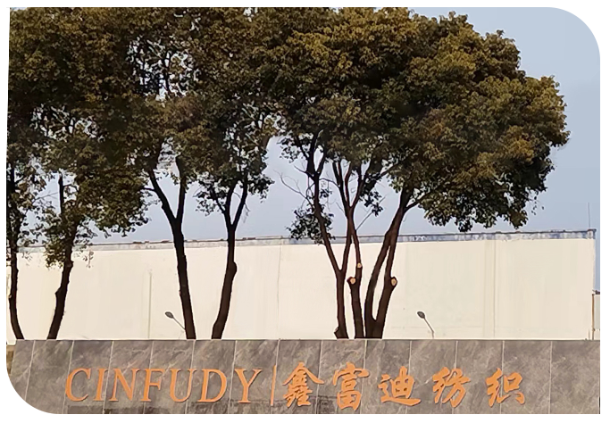Cinfudy